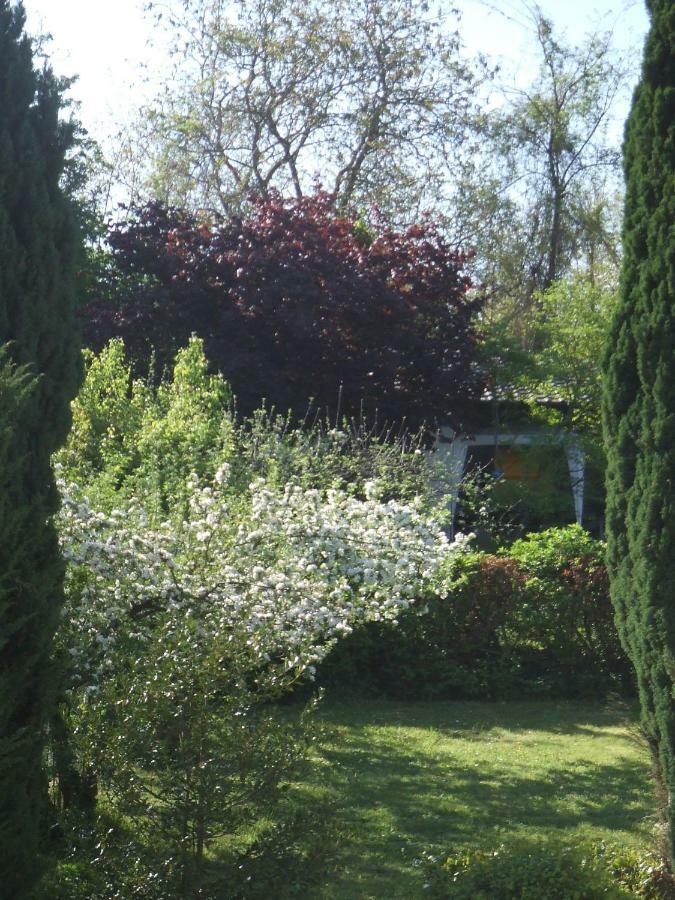 La Rose Tremiere Hotel Wintzenheim-Kochersberg Buitenkant foto